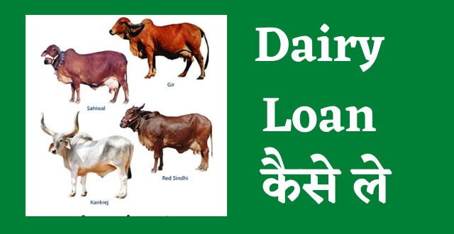 dairy farm loan kaise le